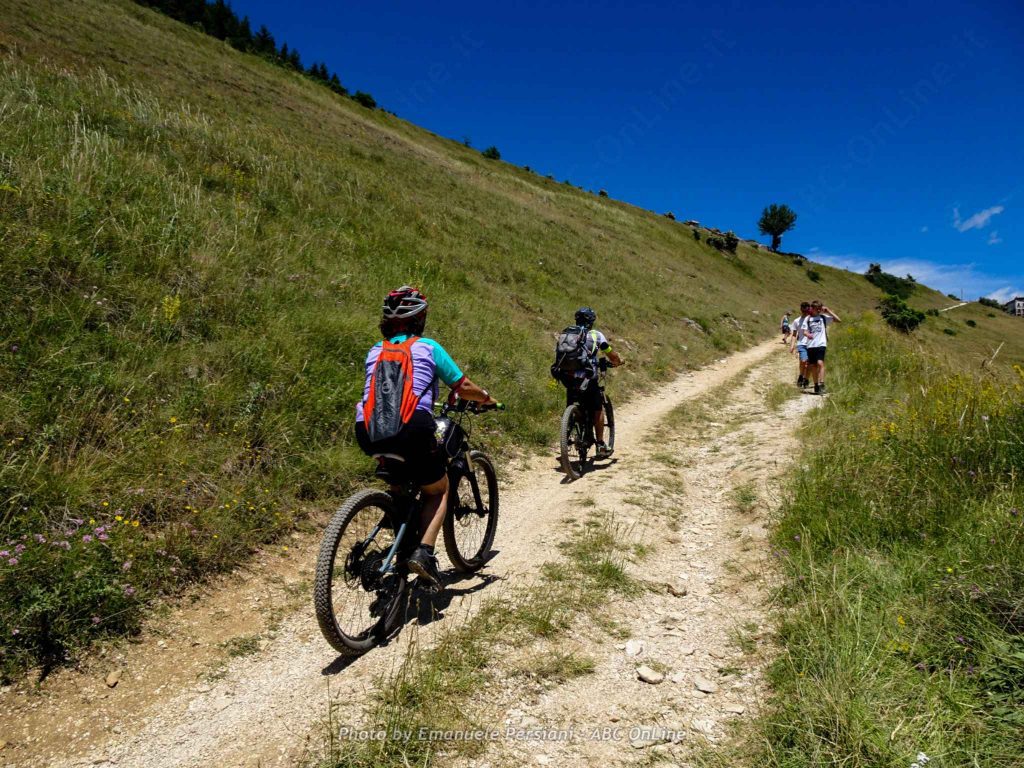 guided cycling tours