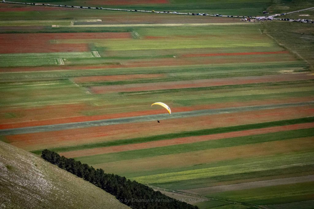 Paragliding, free flying at Castelluccio di Norcia during the flowering, when to visit the flowering of Castelluccio di Norcia