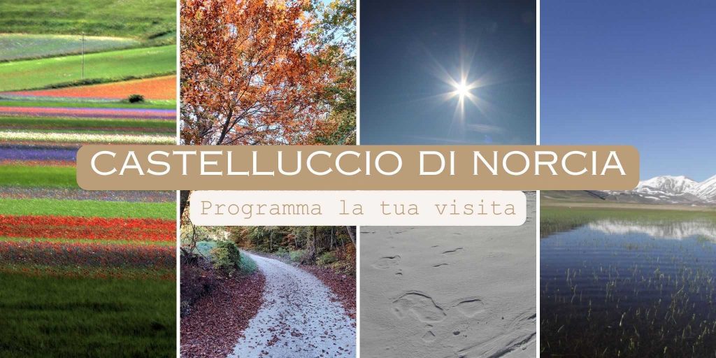 Castelluccio di Norcia in a group, tips for accommodation and the 4 seasons